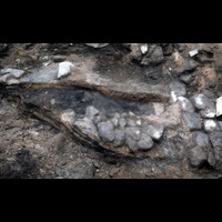 Blm D 7181 - Arkeologi