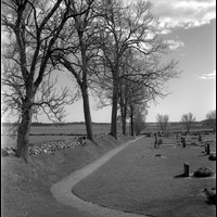 Blm A 1145 - Listerby kyrkogård