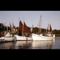 Blm D 1646 - Fiskehamn