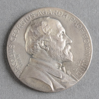 Blm 8802 2 - Medalj