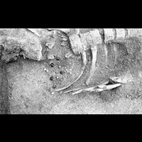 Blm 2013 030 25 - Arkeologi