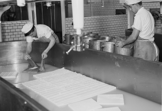 Arbete vid Mjölkcentralen, Oppeby. Fototid: 1955.