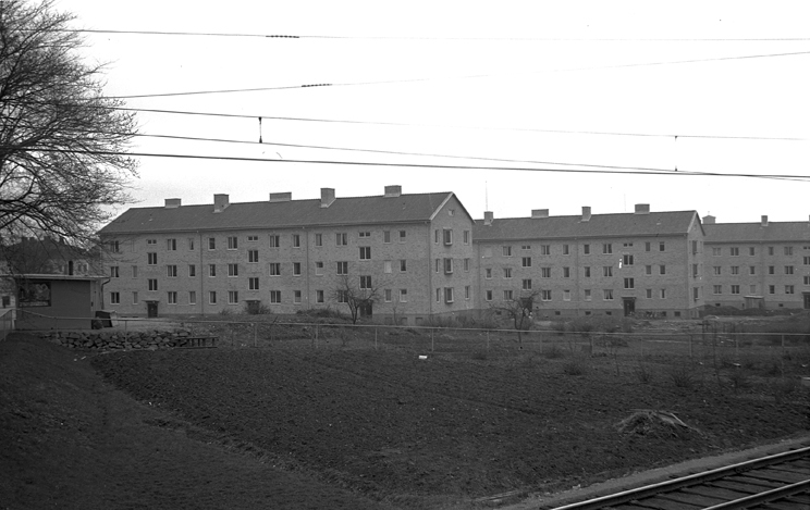 Gripsholmsjorden. Fototid: 1946.