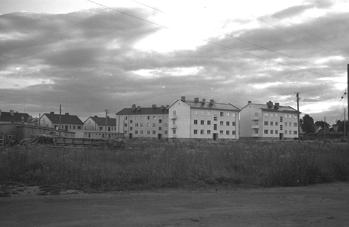 Högbrunnsområdet. Fototid: 1946-07.
