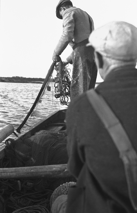 Strömmingskötarna sättas, Örsbaken. Fototid: 1943.