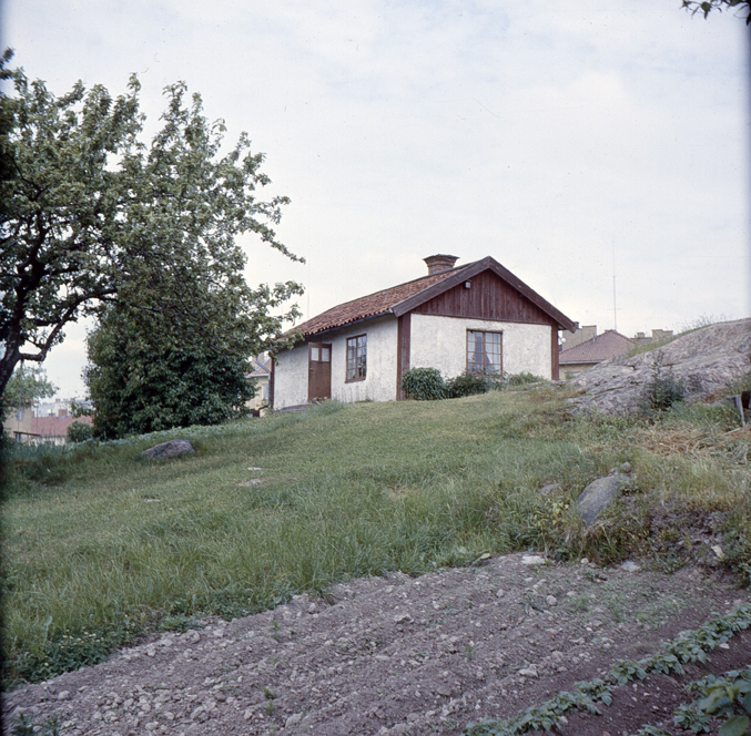 Fågelbo. Fototid: 1958.