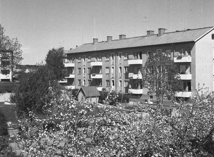 Gårdsinteriör Hemgårdsvägen. Fototid: 1959.