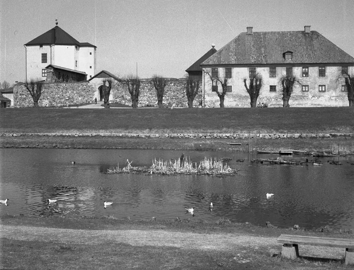 Svandammen vid Nyköpingshus. Fototid: 1960.