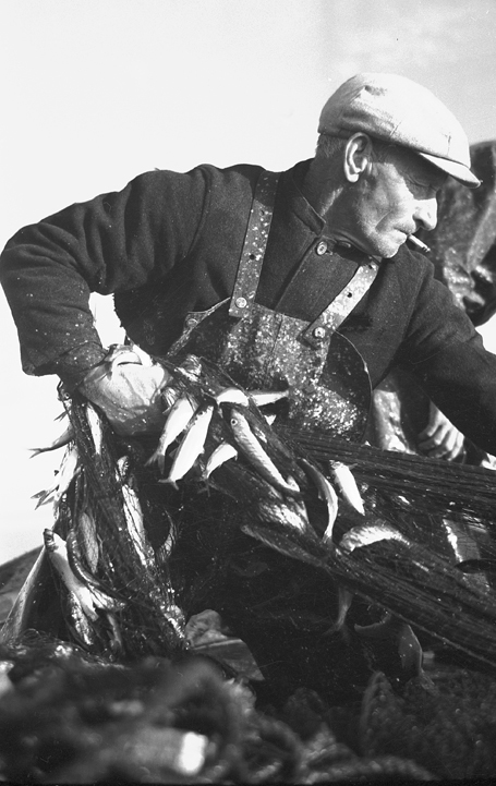 Strömmingsfiske, Nikolai. Fototid: 1943.