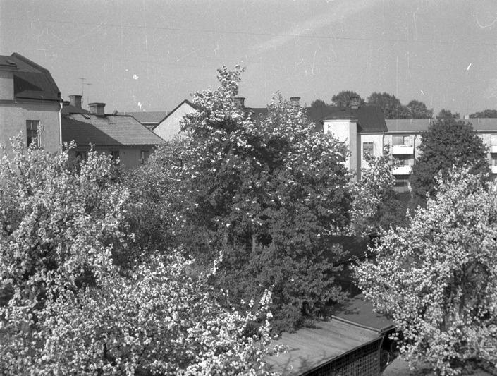 Utsikt från Bagaregatan 16 A. Fototid: 1965.