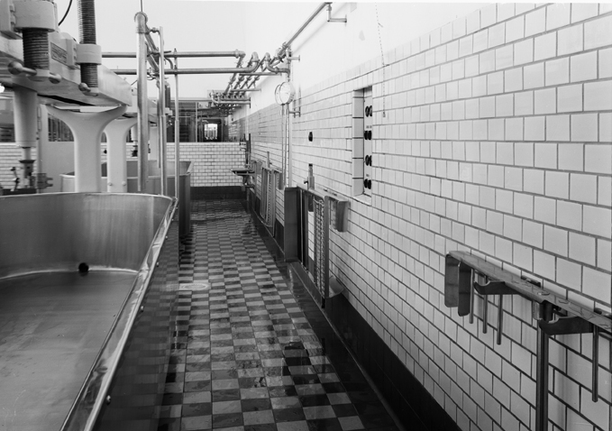 Interiör av mjölkcentralen, Oppeby. Fototid: 1955.