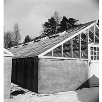 NKBFA DIB781 -
Hans och Alma Alfredssons Växthusanläggning, Hedvigsberg