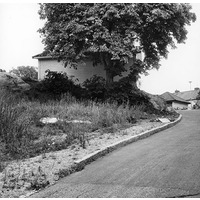 NKBFA DIB709 -
Bostadshus och uthus, exteriör. Huset bredvid kastanjeträdet var rivet före 1981 medan trädet fortfarande finns kvar