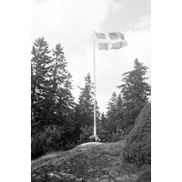 NKBFA DS1907 -
Svenska flaggan.