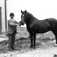 178400 004172 - Anders Andersson med häst