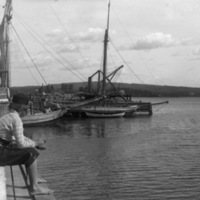 178400 007917 - Arvika hamn på 1890-talet
