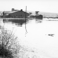 178400 009324 - Översvämning 1951