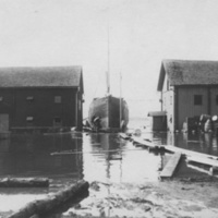 178400 008737 - Vårflod 1904
