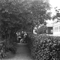 178400 006952 - Rytterströms trädgård