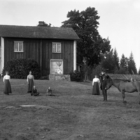 178400 004303 - Familjen Henriksson, Sulvik