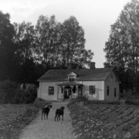 178400 007817 - Villa, Mamen på Skog