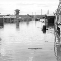 178400 009322 - Översvämning 1951