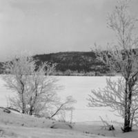 178400 010615 - Sjön Racken i vinterskrud