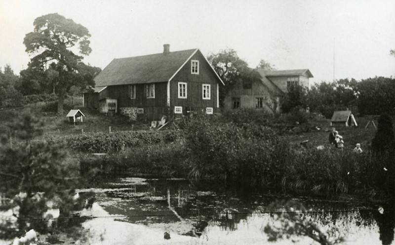 Rosenlöfska fastigheten sedd från fiskdammen.