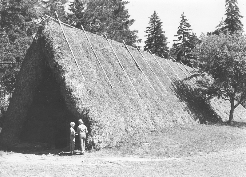 Gotlandshus från järnåldern