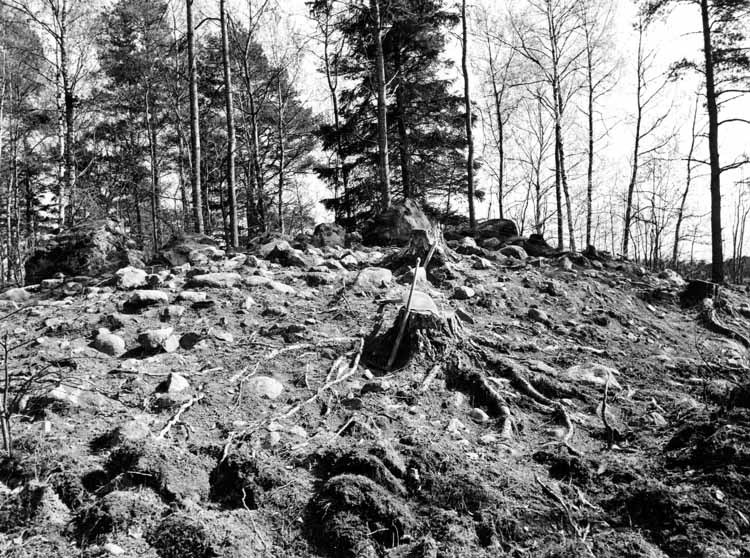 Stensättning i Viksjö. Utgrävning i samband med...
