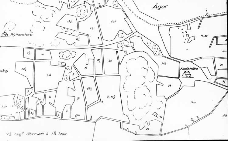 Kalvshälla gård. Del av karta från 1729.