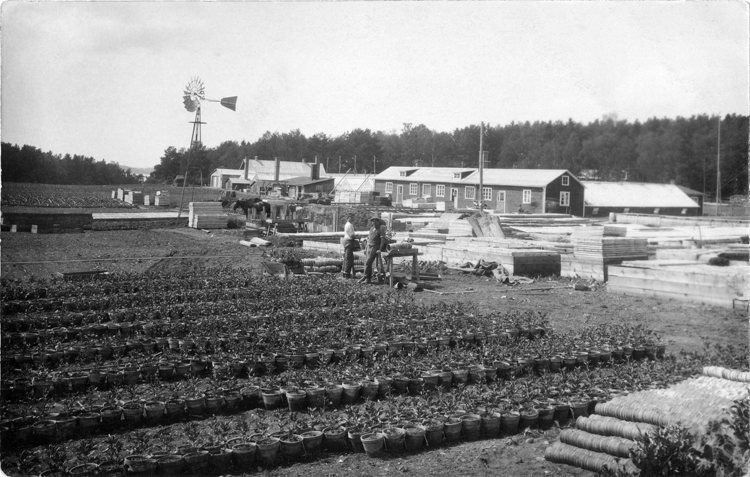 Skogsbergs trädgårdsbruk