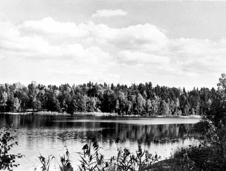 Vy över Säbysjön. Bilden tagen från östra stran...