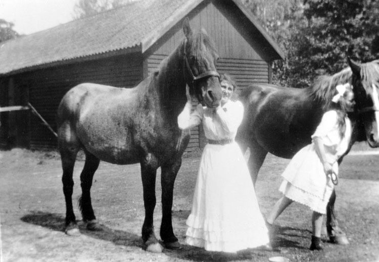 Sandviks gård. Oidentifierade flickor med hästa...