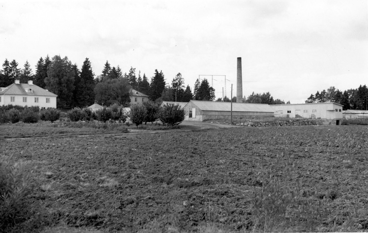 Trädgårdsbruk i Skälby.