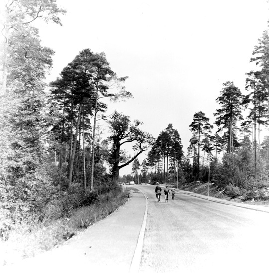 Kallhäll. Dahlérusvägen, senare Kallhällsleden,...