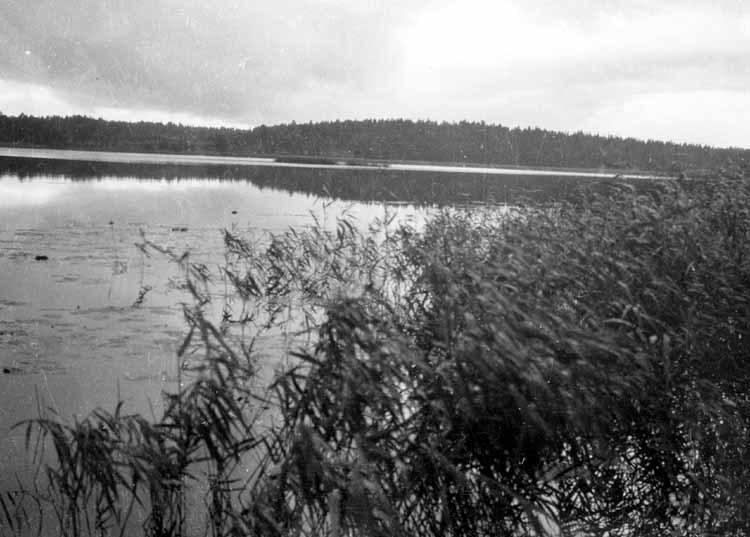 Vy över Säbysjön. Bilden tagen från väster.