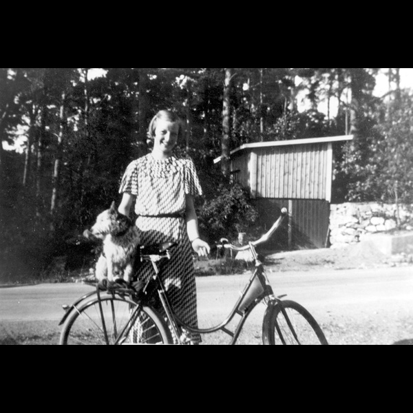 JkB 19475 - Cykel