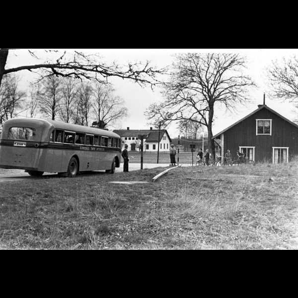 JkB 19209 - Buss