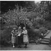 002190 - Tre damer i en trädgård.