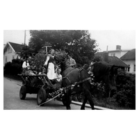 001197 - Häst med lövad vagn