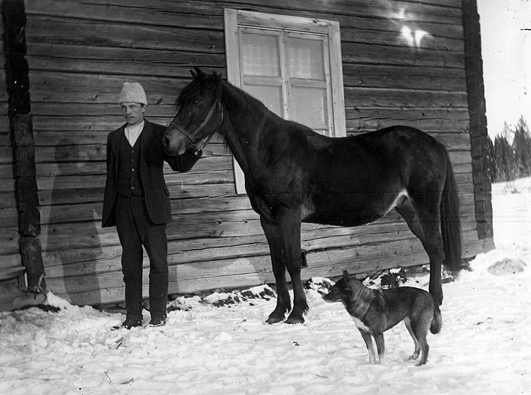Petrus Olofsson med hästen Pil och hunden Sprin...
