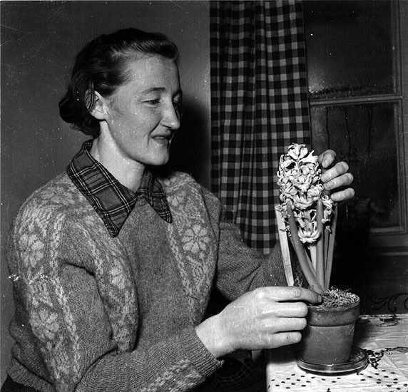 Fru Klara Risberg, Skog, Skansholmen, 1953.