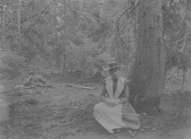 Jäthsbergs skog. 2 juli 1899.