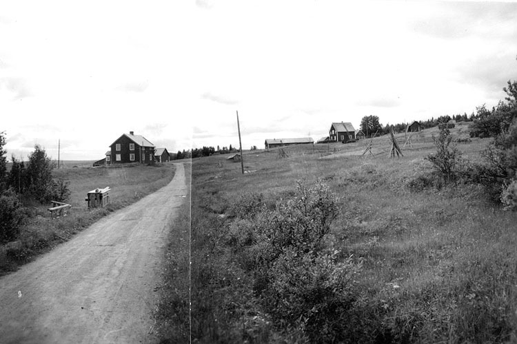 Panorama över de västra gårdarna från Ö.