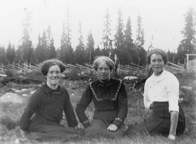Systrarna Bergman, Lövbränna.