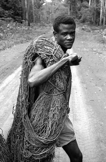Jägare vid Louesse, Kongo. Kollektiv jakt med n...