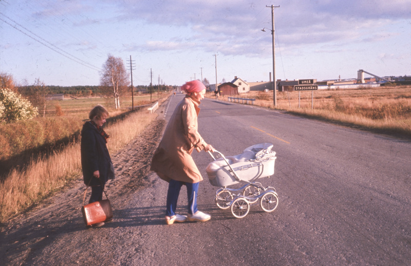 3 september 1964. Lilla Anna-64 i barnvagnen so...