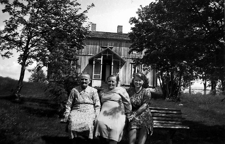 Olov och Lovisa Nilssons gård. Midsommar år 1953.