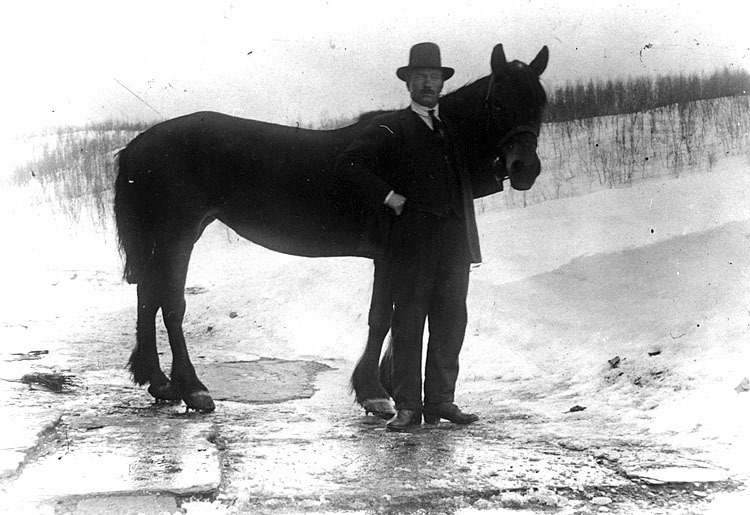 Gustav Natanaelsson med sin häst.